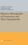 Electron Micrographs of Limestones and Their Nannofossils