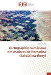 Cartographie numérique des marbres de Namarina (Sakalalina-Ihosy)