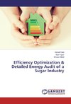 Efficiency Optimization & Detailed Energy Audit of a Sugar Industry