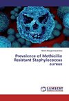 Prevalence of Methicillin Resistant Staphylococcus aureus