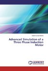 Advanced Simulation of a Three Phase Induction Motor