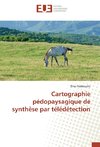 Cartographie pédopaysagique de synthèse par télédétection