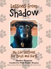 Lessons from Shadow