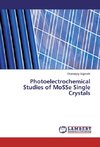 Photoelectrochemical Studies of MoSSe Single Crystals