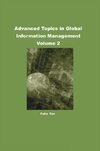 Advanced Topics in Global Information Management Volume 2