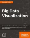 BIG DATA VISUALIZATION