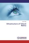 Ultrastructure of Teleost Retina