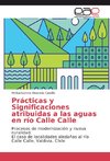 Prácticas y Significaciones atribuidas a las aguas en río Calle Calle