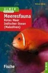 Meeresfauna. Fische