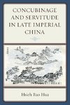 Concubinage and Servitude in Late Imperial China