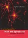 Waxman, S: Form and Function in the Brain and Spinal Cord -