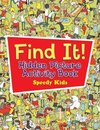 Find It! Hidden Picture Activity Book