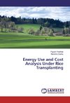 Energy Use and Cost Analysis Under Rice Transplanting