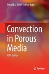 Convection in Porous Media