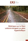 Métrique sur le fibré unitaire tangent au plan hyperbolique