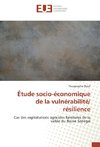 Étude socio-économique de la vulnérabilité/ résilience