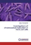 Investigations of chromosomal replication in live E.coli cells