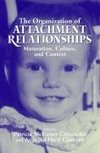 The Organization of Attachment Relationships