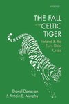 Fall of the Celtic Tiger