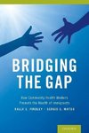 Findley, S: Bridging the Gap