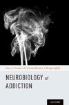 Swann, A: Neurobiology of Addictions