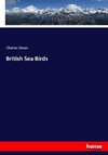 British Sea Birds