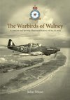 The Warbirds of Walney