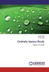 Cedrela toona Roxb