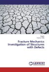 Fracture Mechanics Investigation of Structures with Defects