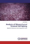 Analysis of Mesenchymal Stromal Cell Ageing