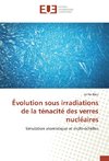 Évolution sous irradiations de la ténacité des verres nucléaires