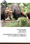 sonagraphical study for diagnosis UTI in cattle and buffaloes