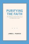 Purifying the Faith