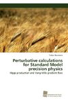 Perturbative calculations for Standard Model precision physics