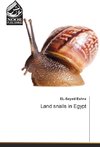 Land snails in Egypt