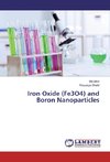 Iron Oxide (Fe3O4) and Boron Nanoparticles