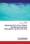 Removal of Cu from Water by Electromagnetic Adsorption by Banana Peel