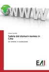 Tutela dei domain names in Cina