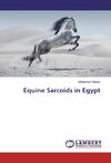 Equine Sarcoids in Egypt