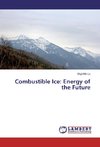 Combustible Ice: Energy of the Future