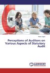 Perceptions of Auditors on Various Aspects of Statutory Audit