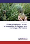 Pineapple stumps macro propagation technique and nursery performance