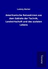 Amerikanische Reiseskizzen aus dem Gebiete der Technik, Landwirtschaft und des sozialen Lebens