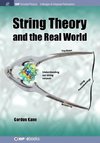 String Theory and the Real World