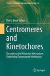 Centromeres and Kinetochores