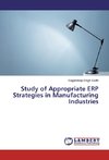 Study of Appropriate ERP Strategies in Manufacturing Industries