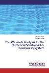 The Wavelets Analysis In The Numerical Solutions For Boussinesq System