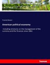 American political economy