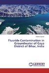 Fluoride Contamination in Groundwater of Gaya District of Bihar, India