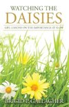 Watching the Daisies